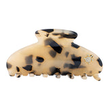 Large Hair Claw Honey Tortoise - Turtle