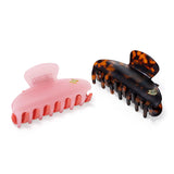 Large Hair Claw Tortoise - Jaguar