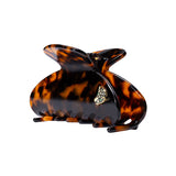Large Hair Claw Tortoise - Jaguar