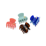 Small Hair Claw Tortoise - Bolt