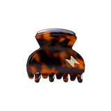 Small Hair Claw Tortoise - Bolt