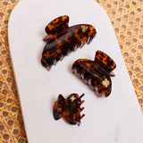 Small Hair Claw Tortoise - Bolt
